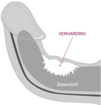 urologie